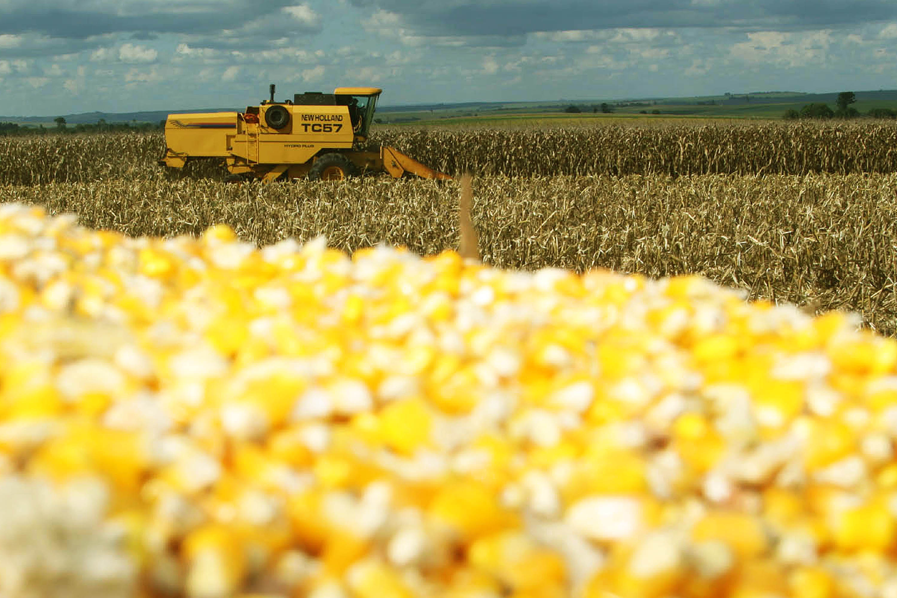 Safra de grãos no Paraná deve atingir 37 milhões de toneladas