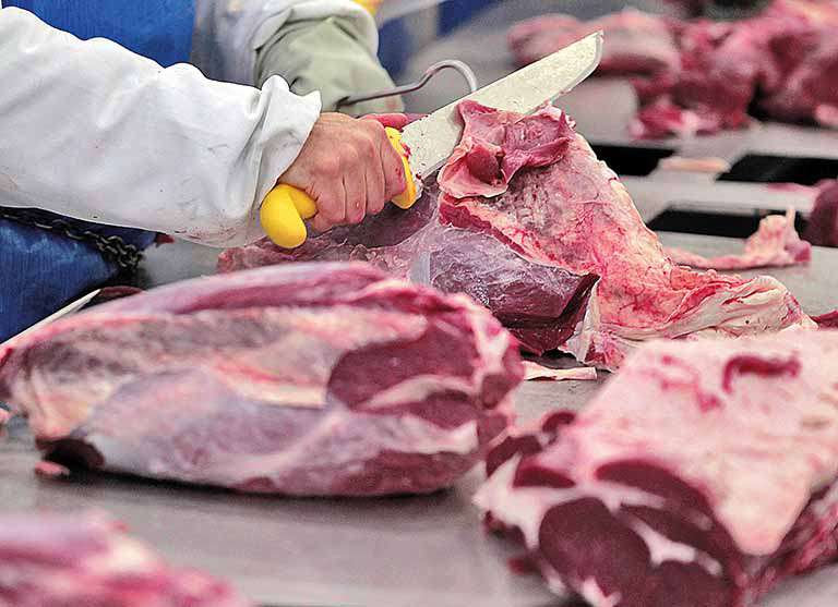 Carnes apresentam aumento de 20,69% em novembro em PG