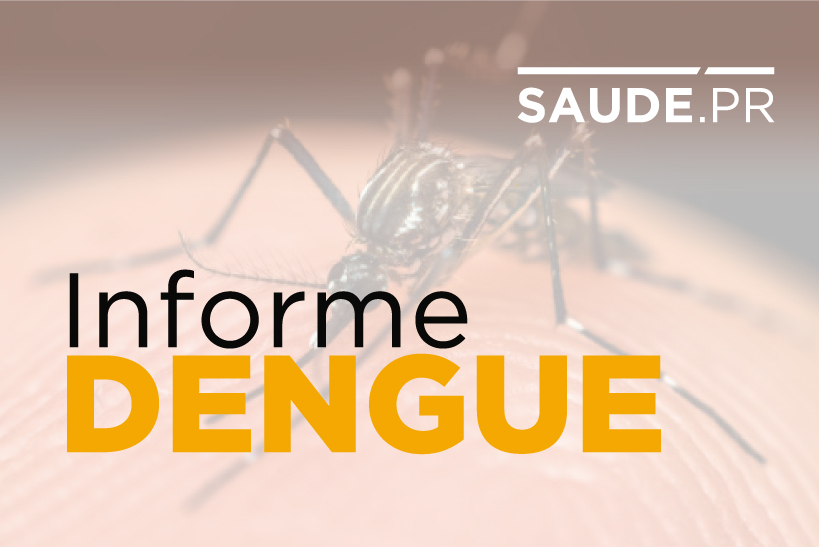Paraná tem 88 mil casos confirmados de dengue