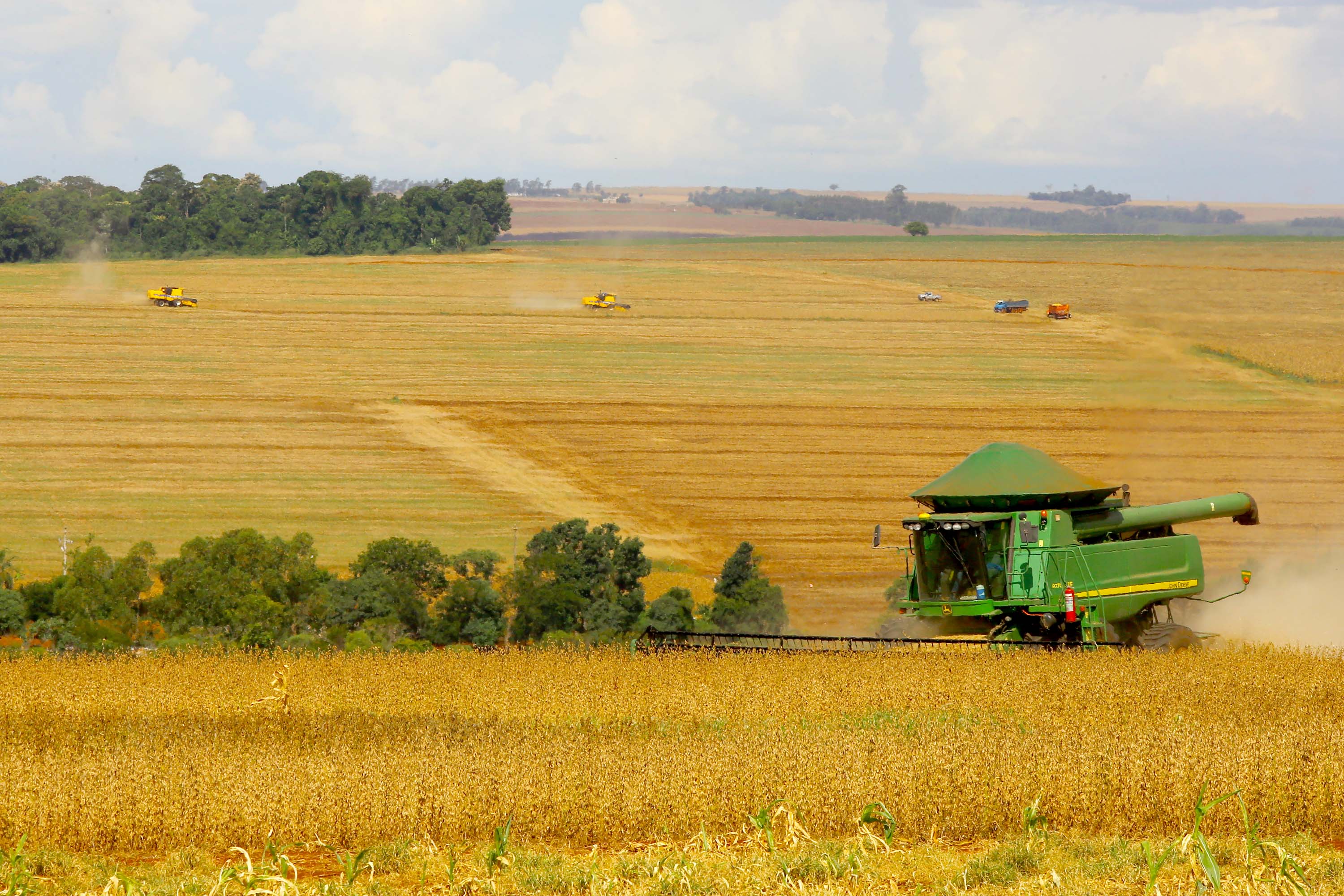 Safra de grãos deve atingir 41 milhões de toneladas no Paraná
