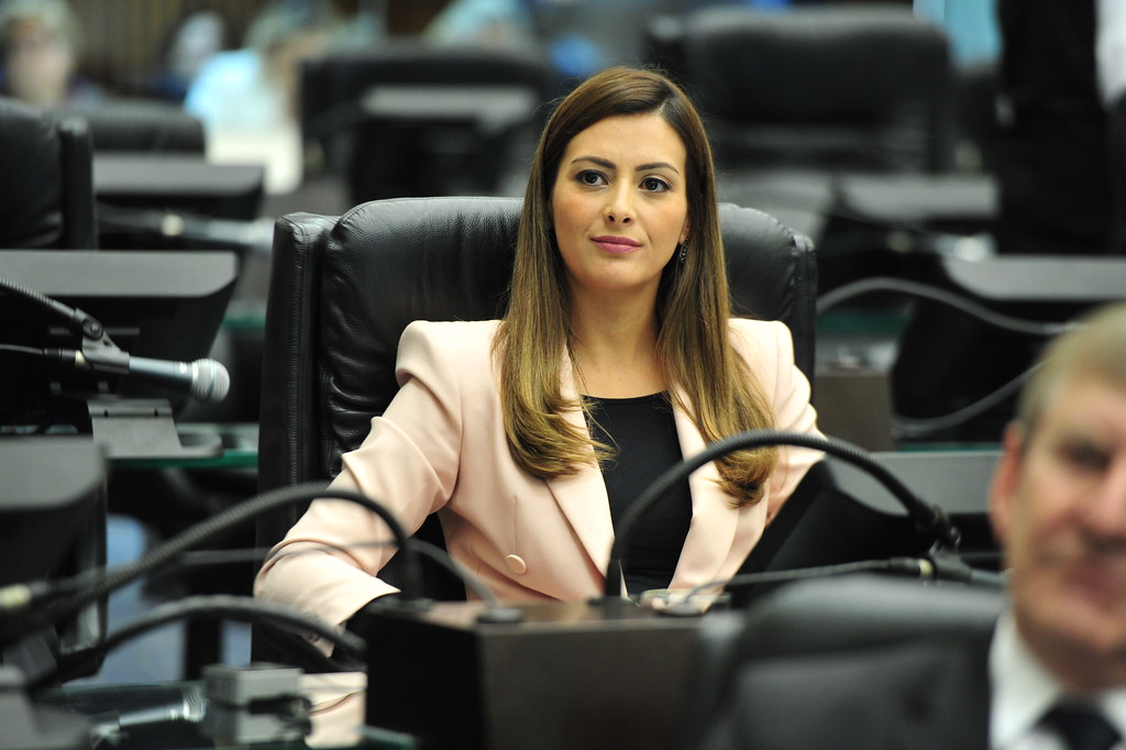 Mabel Canto propõe eliminar metade dos cargos em comissão
