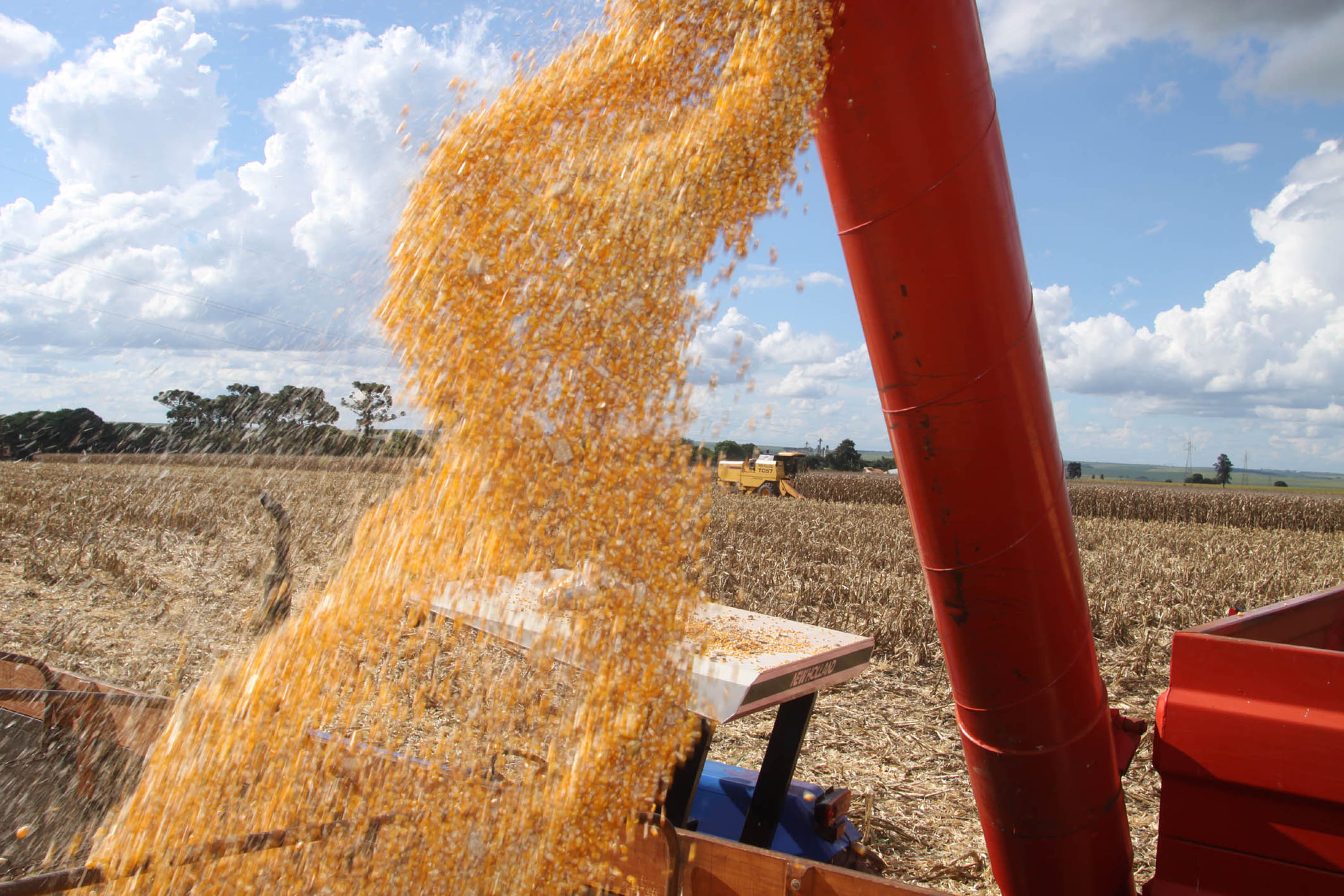 Estado deverá produzir 41,2 milhões de toneladas de grãos