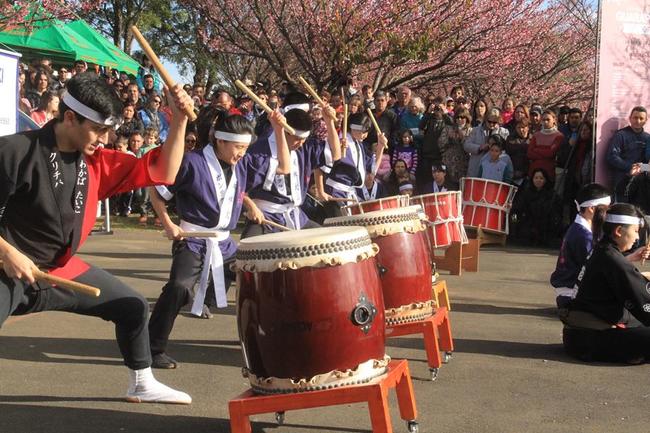 Festival de Taiko terá oficinas gratuitas e mostras culturais
