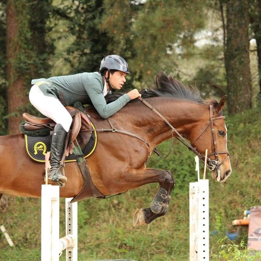 ‘Semana do Cavalo de Esporte’ integra a Feira Paraná