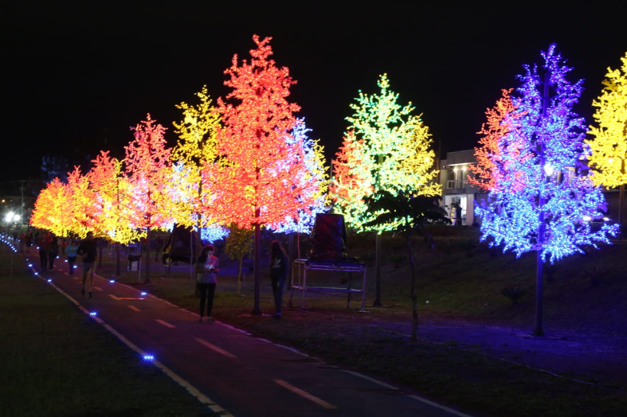 Natal: Ponta Grossa inaugura Bosque de Luz nesta sexta-feira