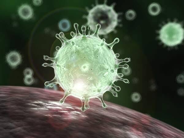 Nono caso confirmado de coronavírus encontra-se na UTI em PG