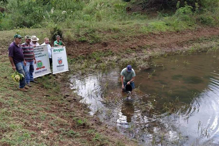 Combate contra a dengue reverte epidemia em municípios