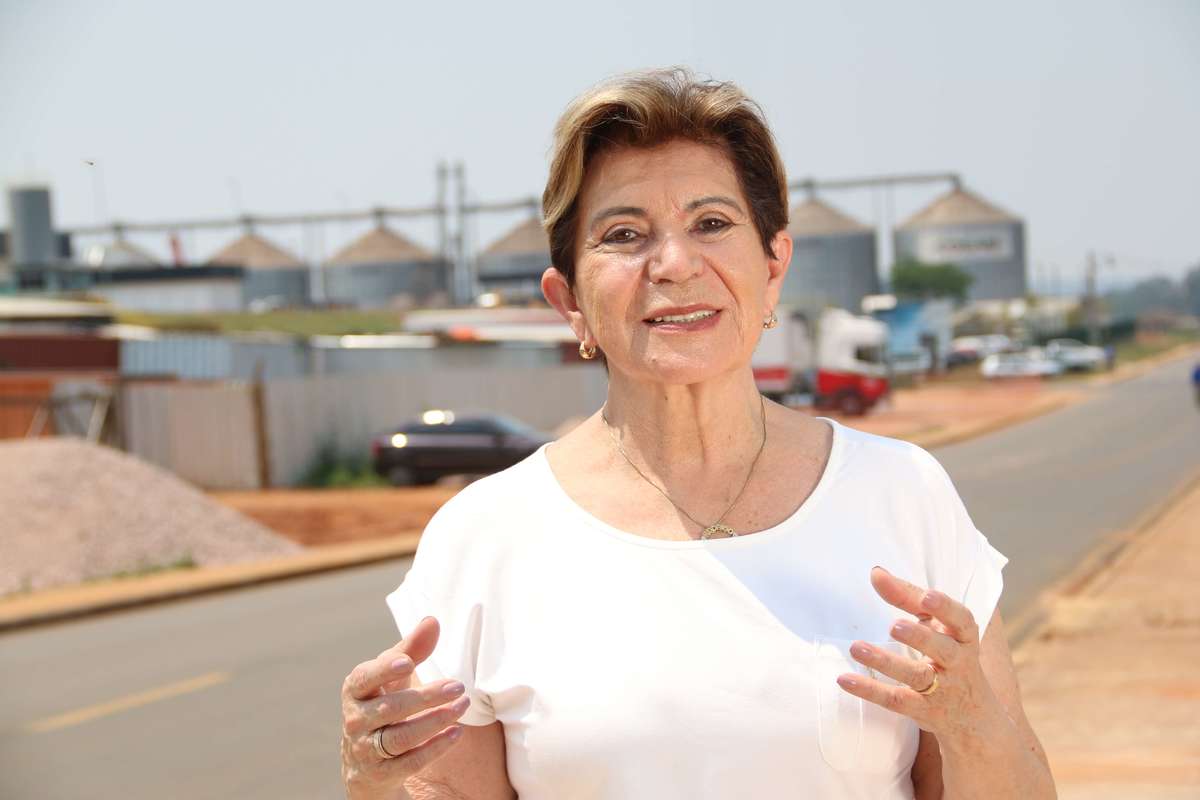 Elizabeth quer fomentar ciclo de industrialização em Ponta Grossa
