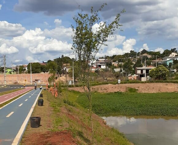 Prefeitura planta 100 mudas de árvores ao redor do Lago de Olarias