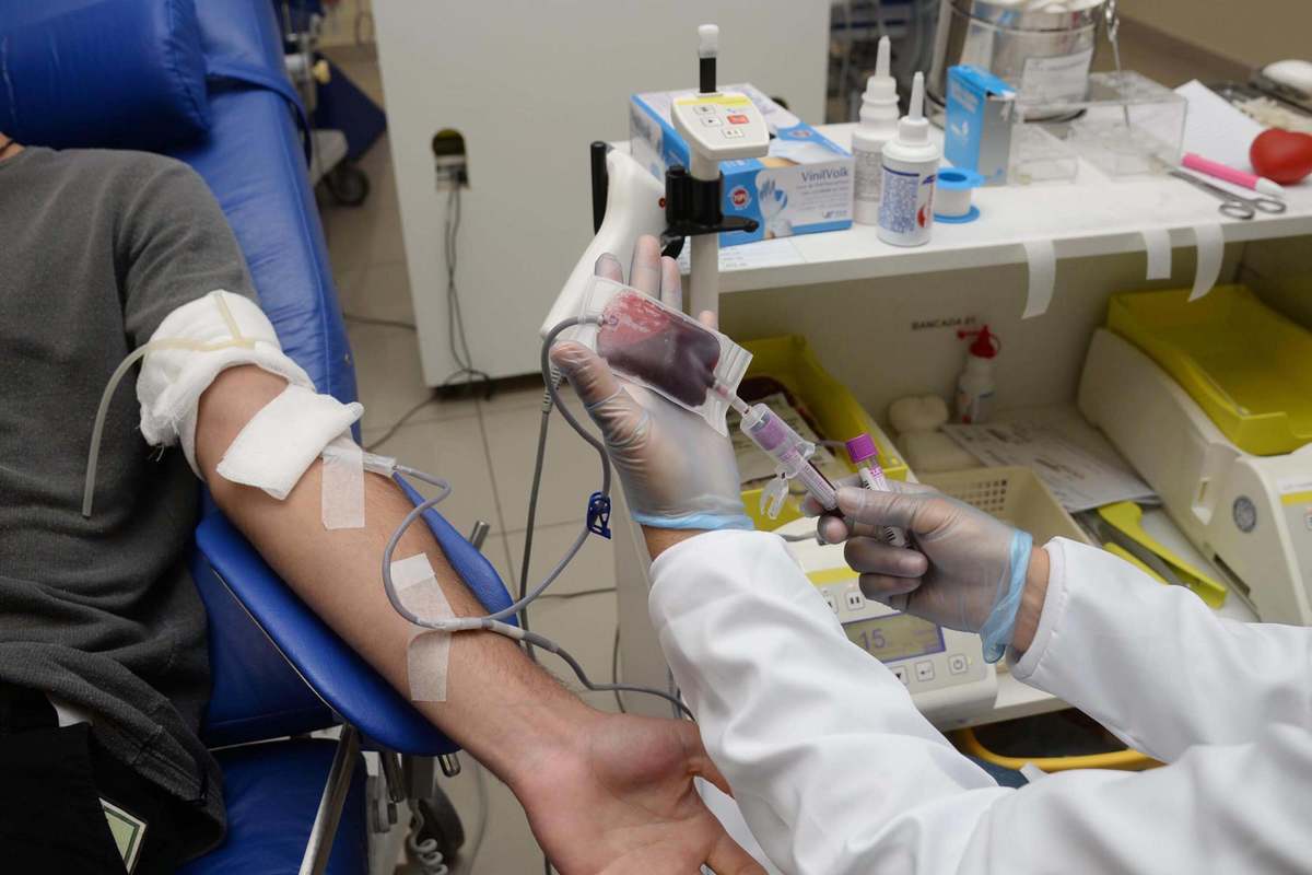 Doações de sangue caem e governo lança campanha