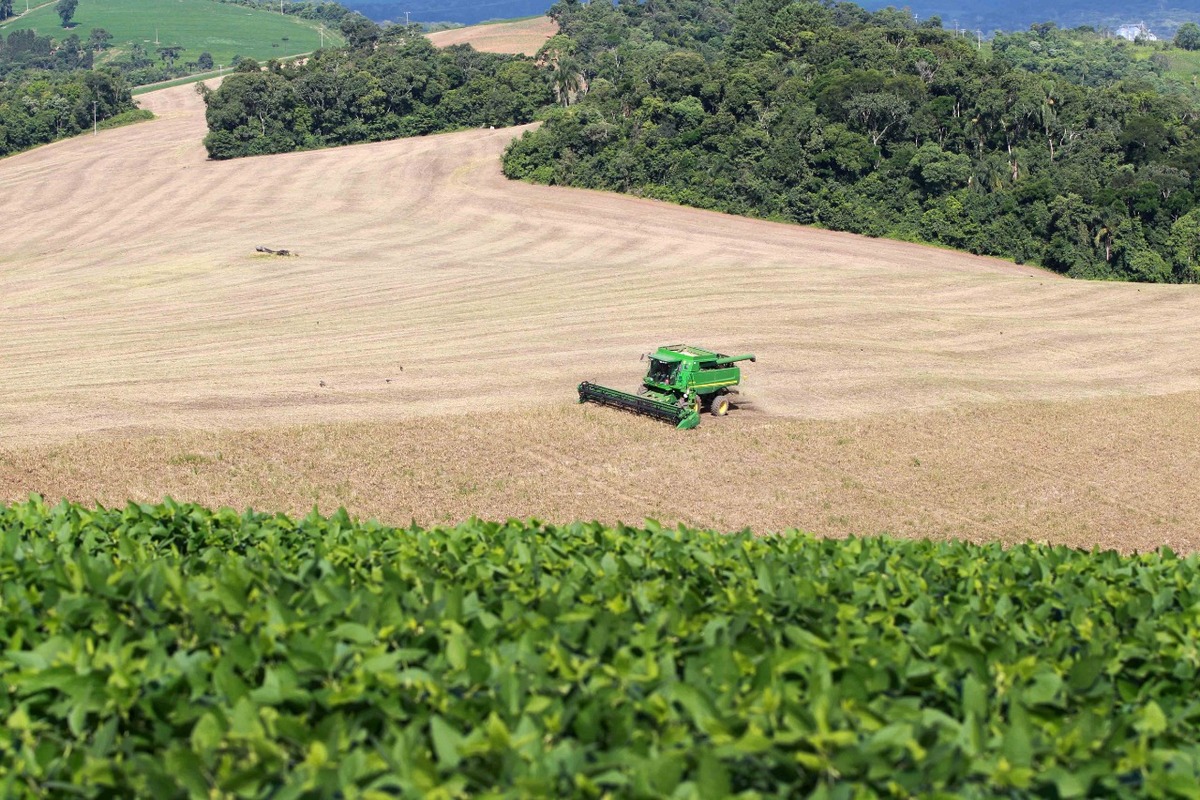 Paraná deve produzir 40,6 milhões de toneladas de grãos na safra 2020/2021