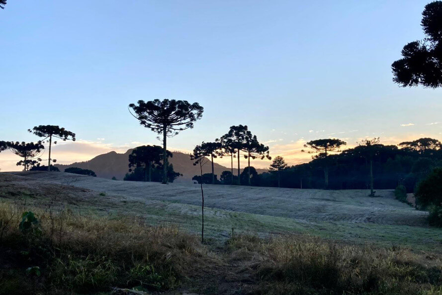 Simepar prevê inverno gelado e seco, com muito nevoeiro