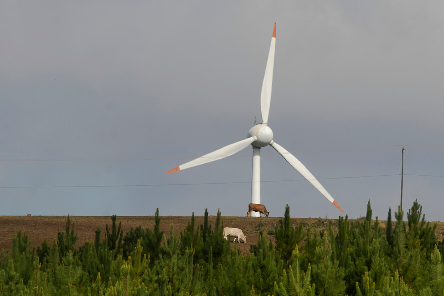 Estudo mostra Paraná como exemplo mundial em desenvolvimento sustentável