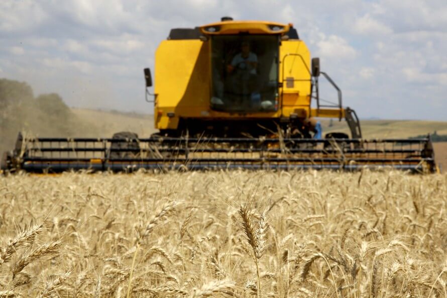 Valor Bruto da Produção Agropecuária cresce 21% em 2020 e alcança R$ 128,3 bilhões