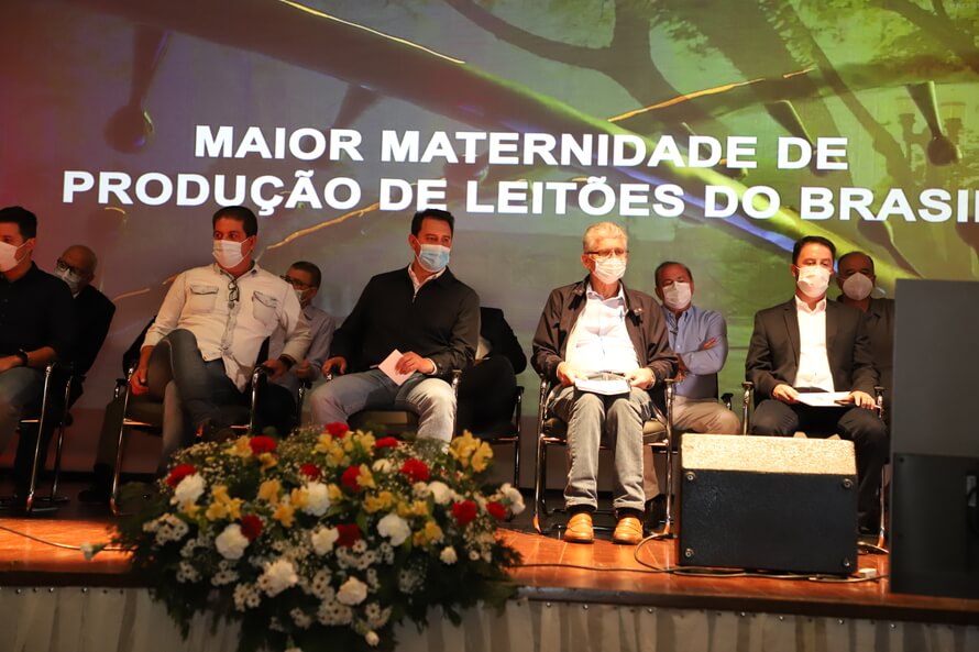 Nova unidade de leitões no Paraná promete ser a maior do País