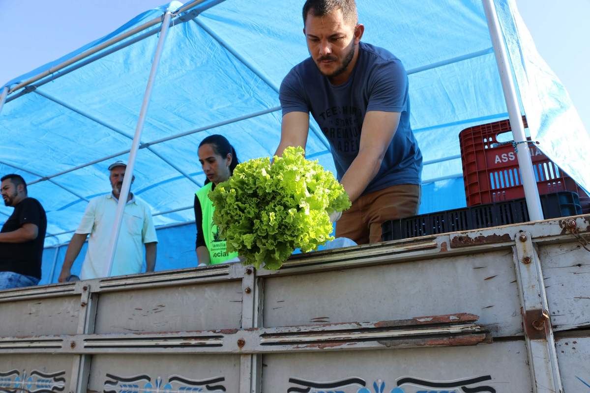 Ecofeira distribui mais 3 toneladas de alimentos em Castro