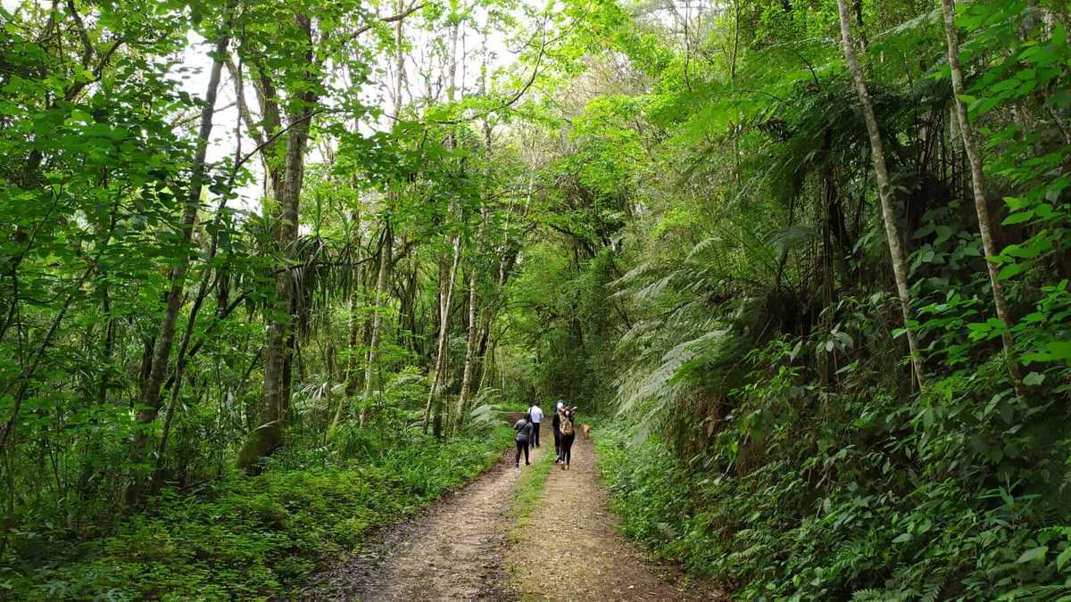 Caminhada Internacional na Natureza terá 12 km de muita beleza em Itaiacoca