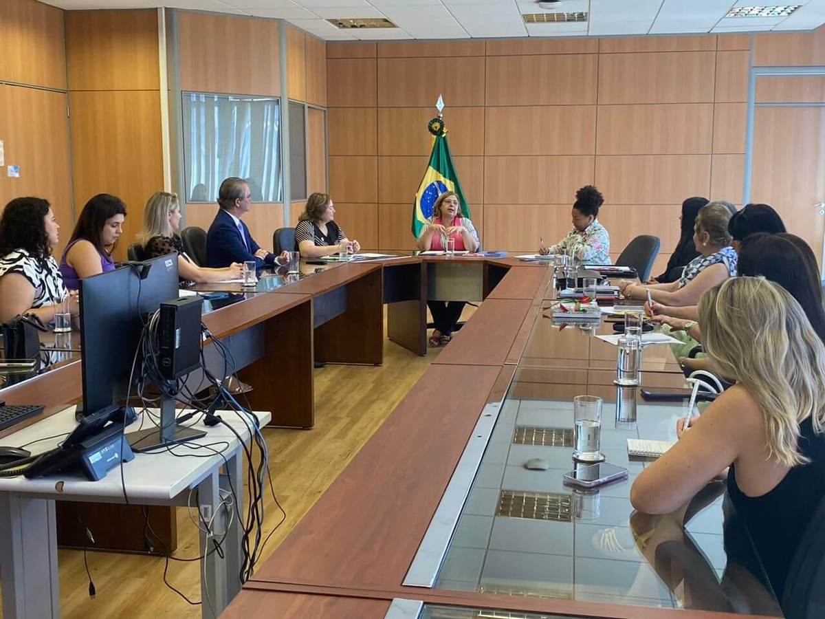 Secretária participa de reunião no Ministério das Mulheres