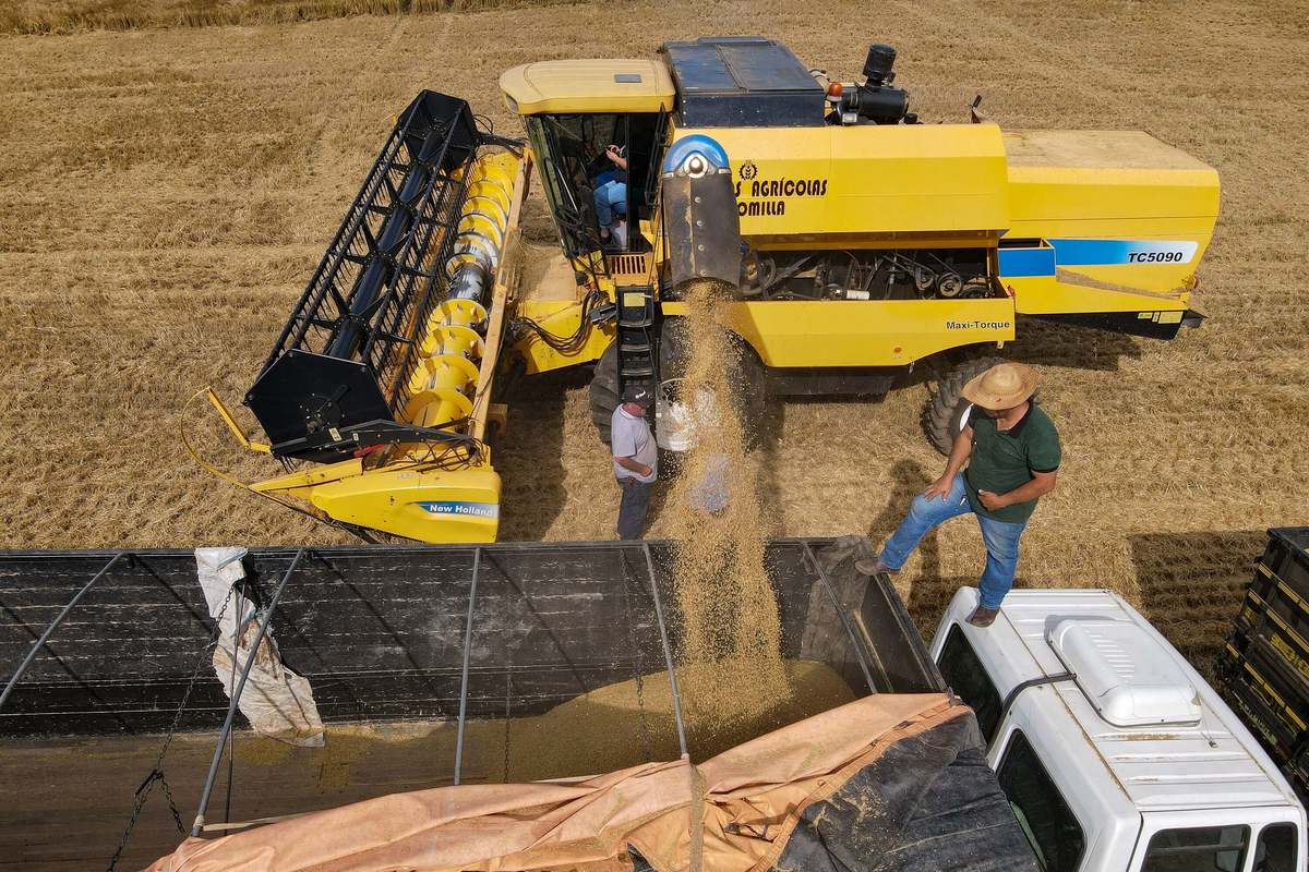 Com reajuste nacional, Paraná aumenta Piso Regional e segue com maior do País