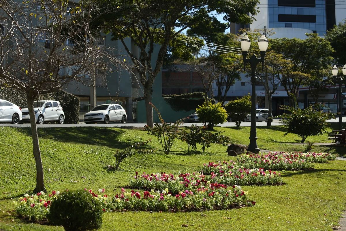 Canteiros e entradas da cidade recebem mais de 120 mil mudas de flores