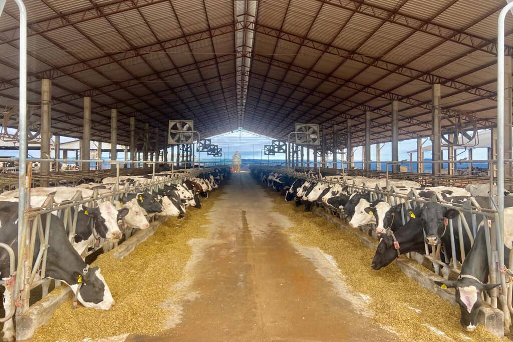 Crédito de longo prazo do BRDE impulsiona produção leiteira de fazenda de Arapoti