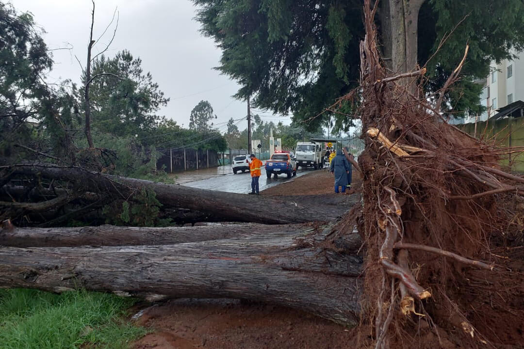 Ponta Grossa registra cerca de 300 ocorrências causadas pelas chuvas