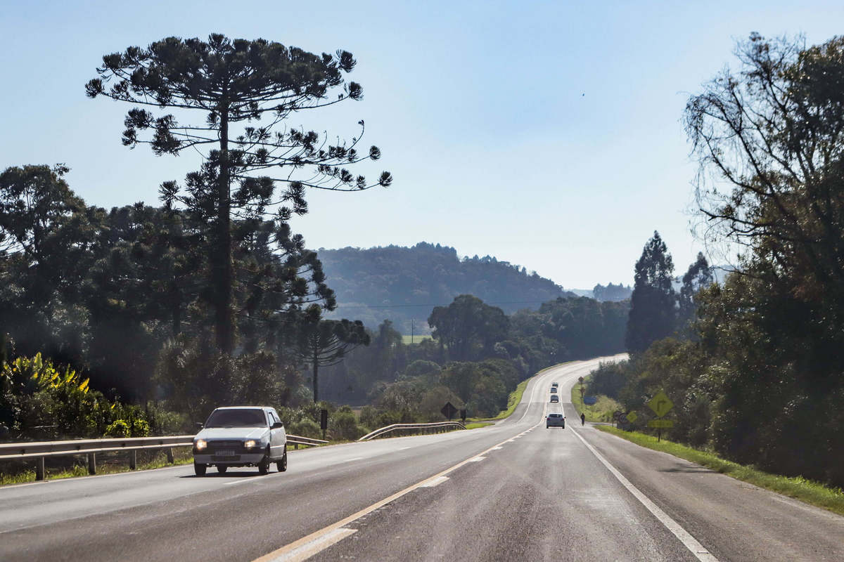 Via Araucária vai contratar 682 funcionários para administrar 473 km de rodovias