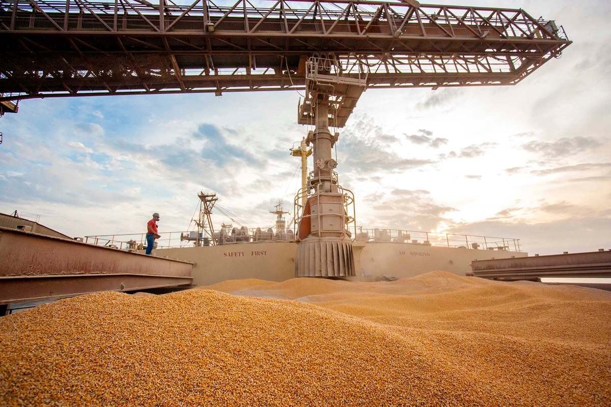 Com alta da soja, Paraná registra maior volume de exportações para janeiro da história