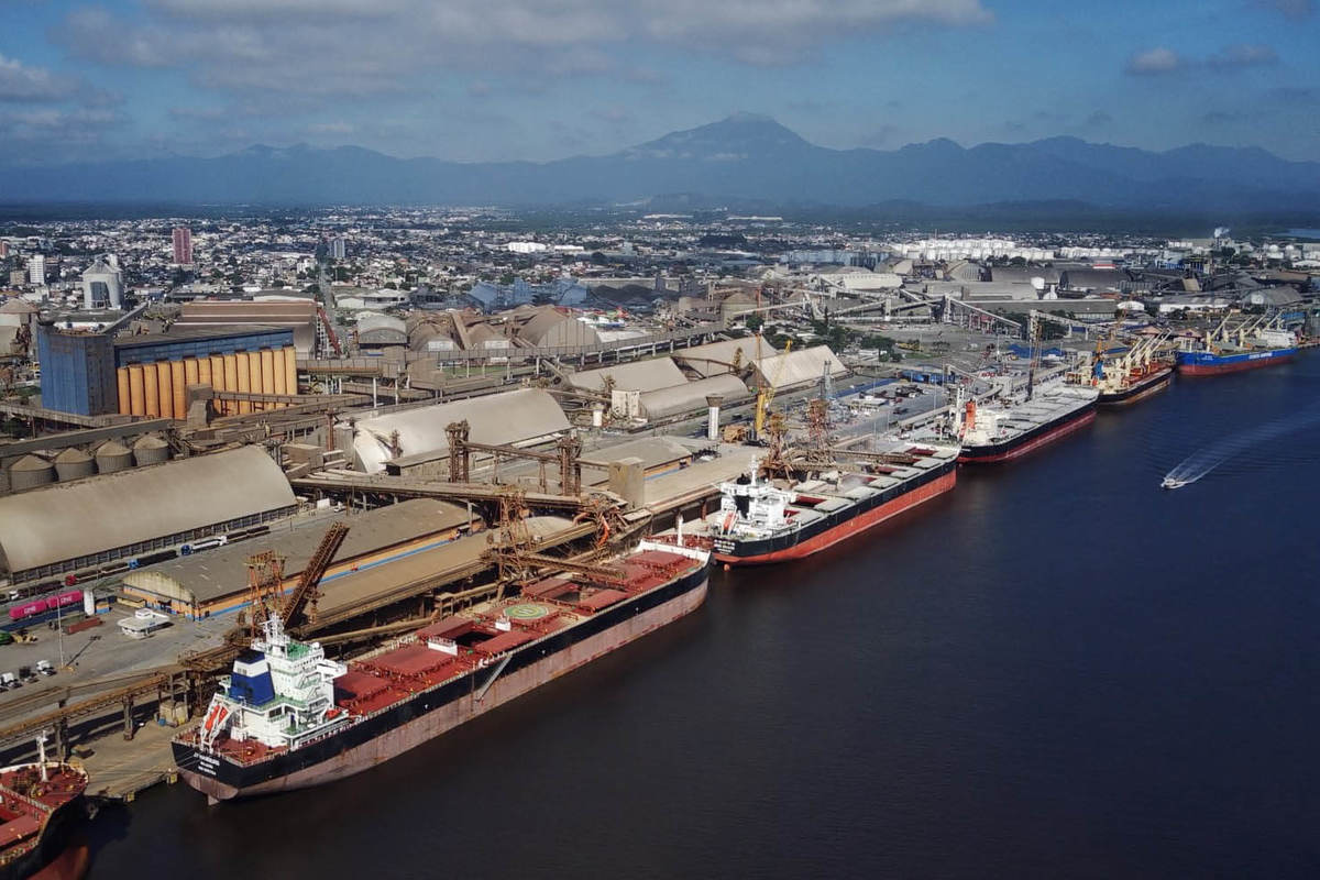 Importação cresce 14% nos portos paranaenses nos cinco primeiros meses de 2024